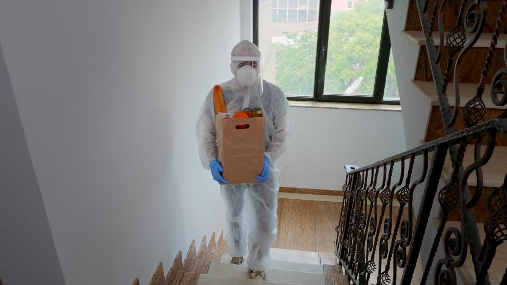 What to Do After Pest Control Treatment
