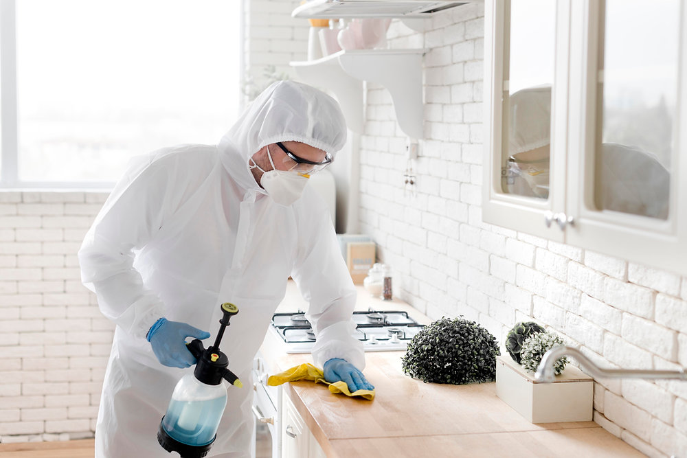 Top Five Pest Control Tips for Arizona Homes