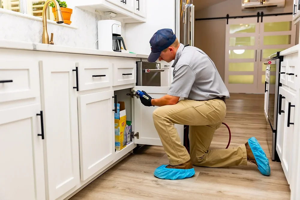 Top Tips on How to Prepare for a Pest Inspection Efficiently