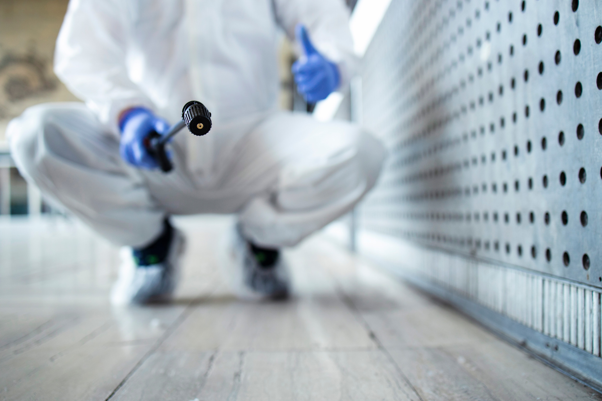 How to Prepare for Pest Control Services