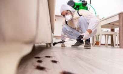 How Does Pest Control Work