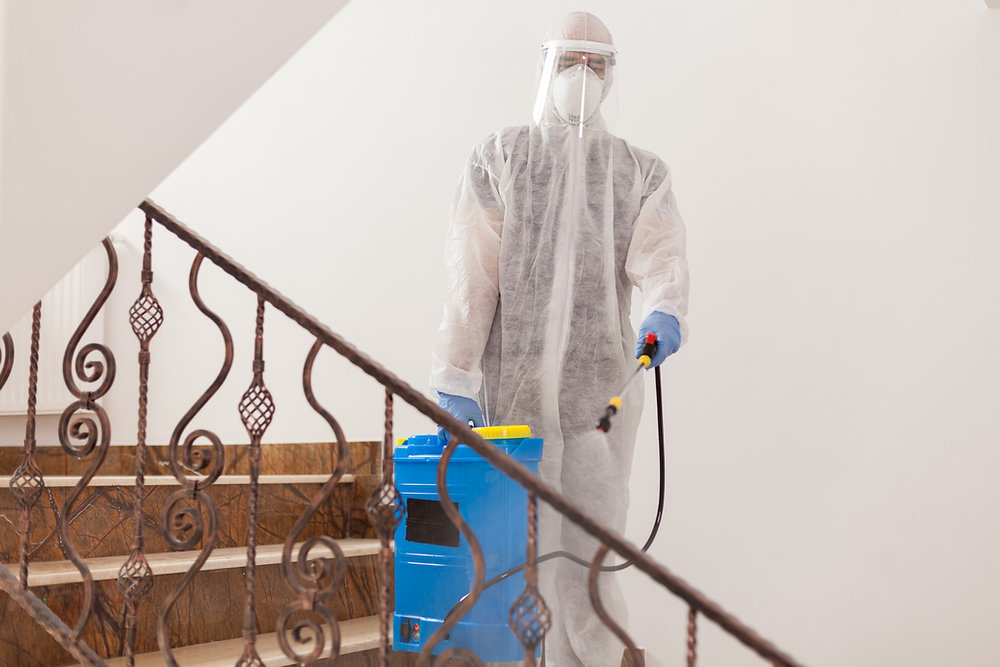 How Do Bed Bugs Spread in Your Home: A Comprehensive Guide