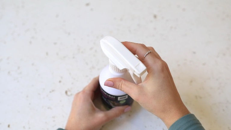Natural Rodent Repellent: Safe Alternatives to Chemicals