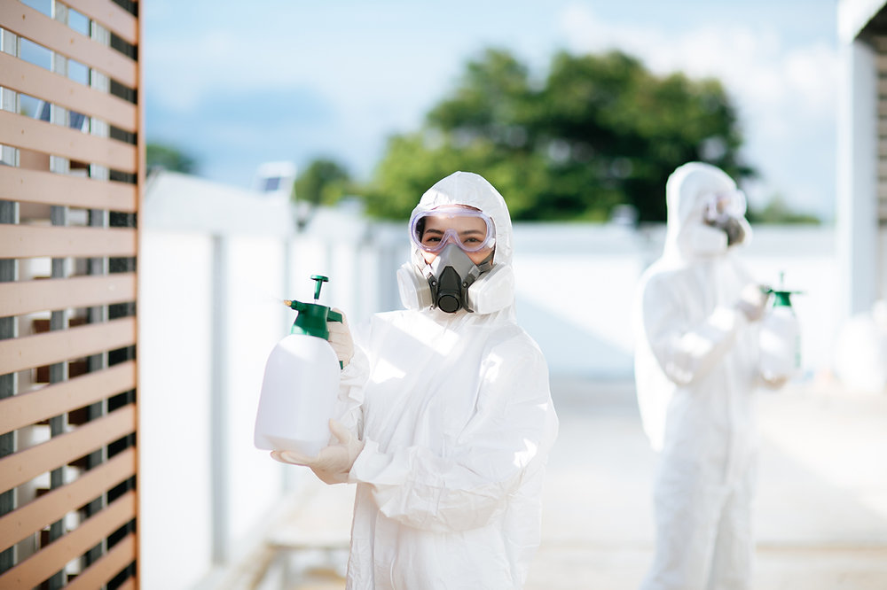Eco Pest Control Solutions for Coolidge Homes