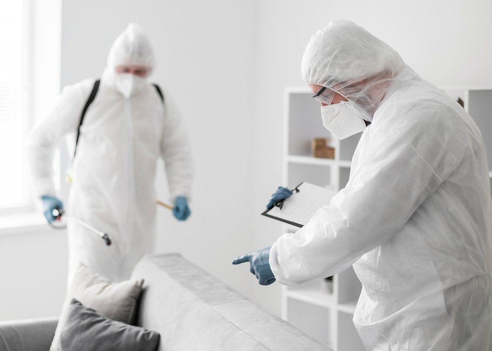 Coolidge Pest Inspection Duration