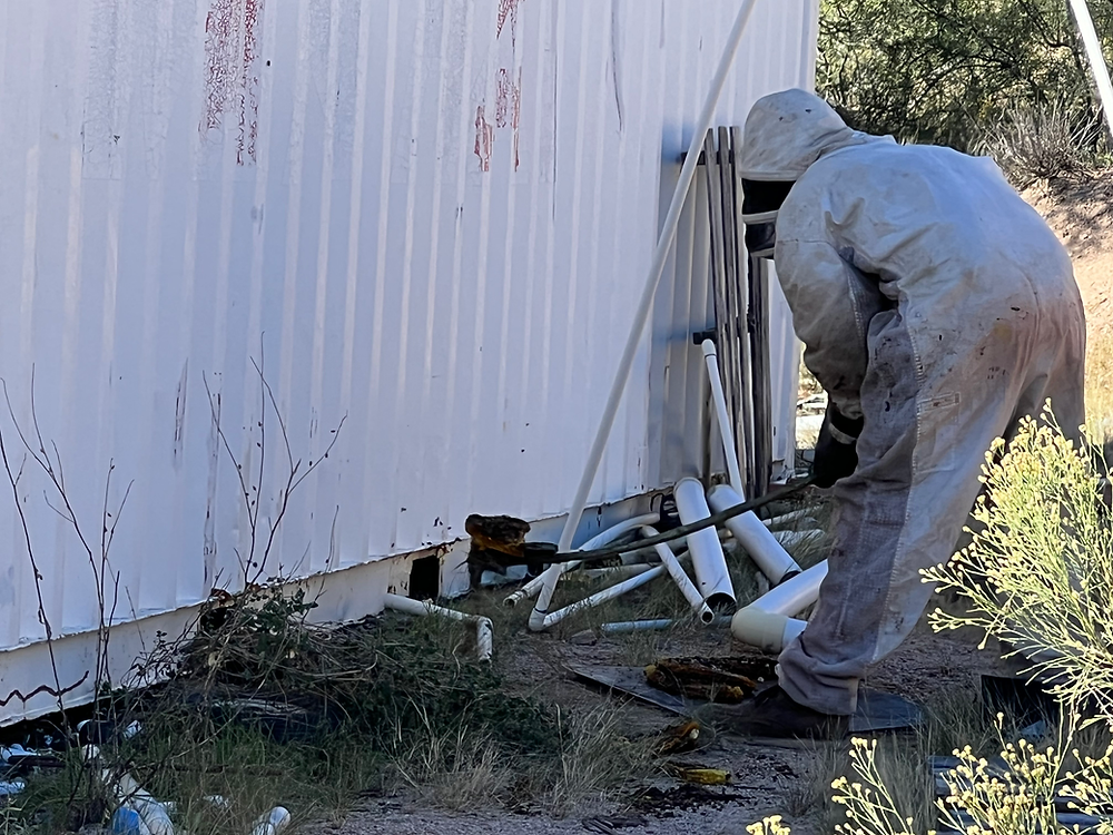 🕷️ Top 5 Summer Pests in Arizona (and How to Kick Them Out for Good)