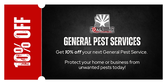 Pigeons can cause serious problems for commercial ...