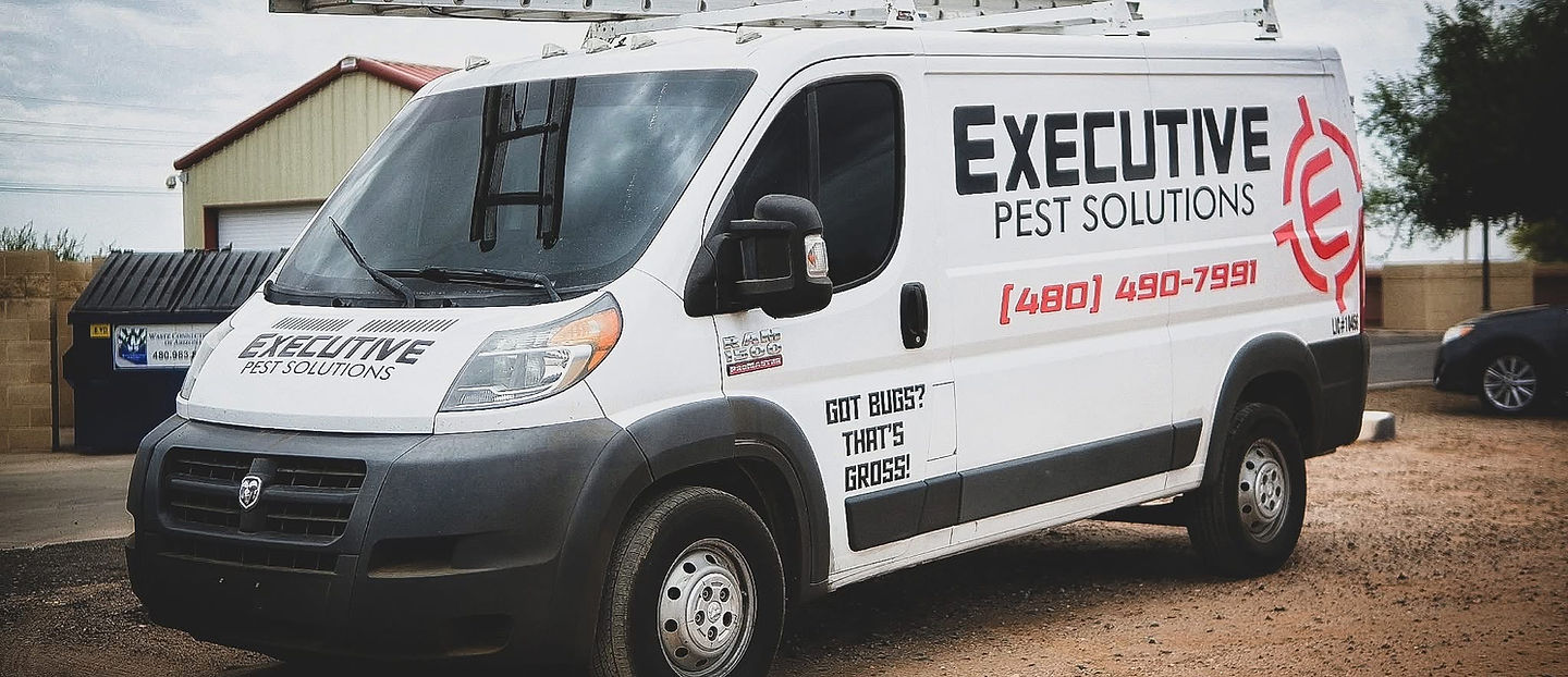 Executive Pest Solutions